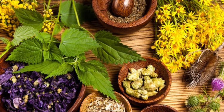 Herbal Natural Supplements: Nature’s Path to Wellness