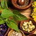 Herbal Natural Supplements: Nature’s Path to Wellness