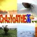 Crazy Cattle 3D – When Herding Sheep Becomes Absolute Chaos