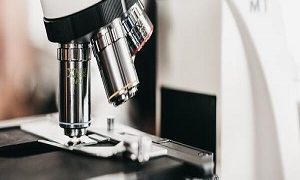 Navigating Structural Biology: A Technical Guide to X-ray Crystallography and NMR Spectroscopy