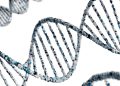 How Enzyme Substrates Unlock Obesity Metabolism Research