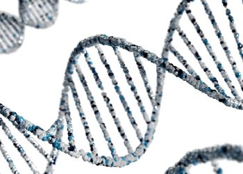 How Enzyme Substrates Unlock Obesity Metabolism Research