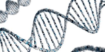 How Enzyme Substrates Unlock Obesity Metabolism Research