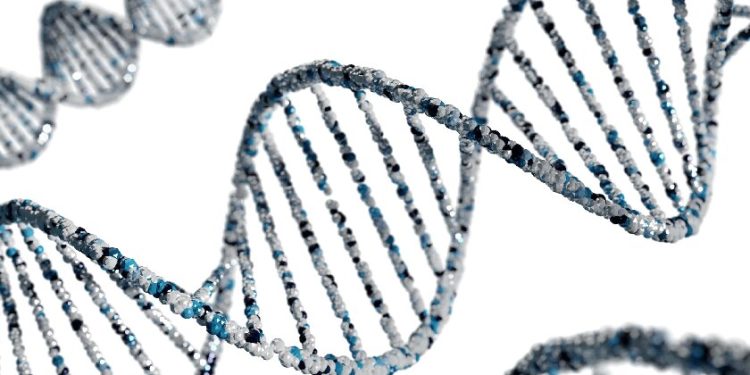How Enzyme Substrates Unlock Obesity Metabolism Research