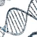 How Enzyme Substrates Unlock Obesity Metabolism Research