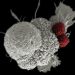 The Preclinical Foundation: How Obesity Models Drive Therapeutic Breakthroughs