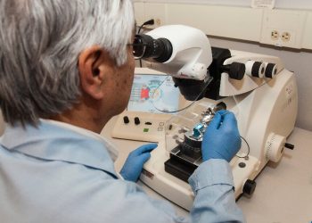 Multi-protein Expression Service in Insect Cells Now Available at Profacgen