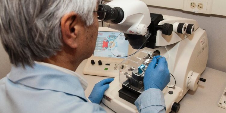 Multi-protein Expression Service in Insect Cells Now Available at Profacgen