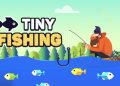 Cast Your Worries Away: A Guide to the Delightful World of Tiny Fishing