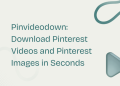 Pinvideodown