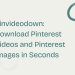 Pinvideodown