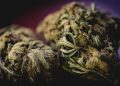 Handcrafted marijuana products and edibles