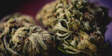 Handcrafted marijuana products and edibles