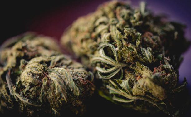 Handcrafted marijuana products and edibles