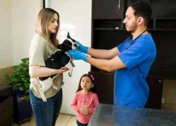 How a Veterinary Teletriage Service Turns After-Hours Calls Into Booked Appointments