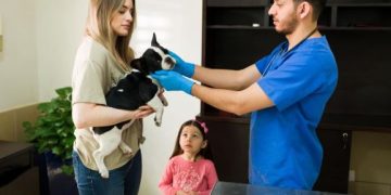 How a Veterinary Teletriage Service Turns After-Hours Calls Into Booked Appointments