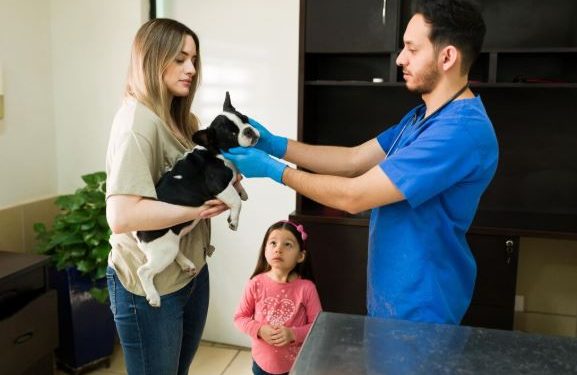 How a Veterinary Teletriage Service Turns After-Hours Calls Into Booked Appointments